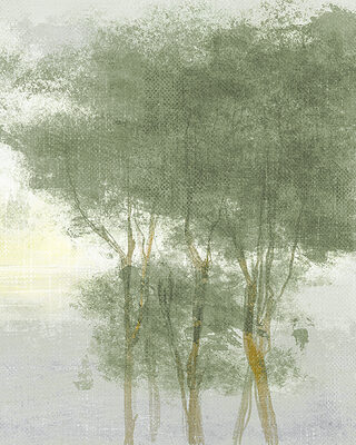 Image Not Available